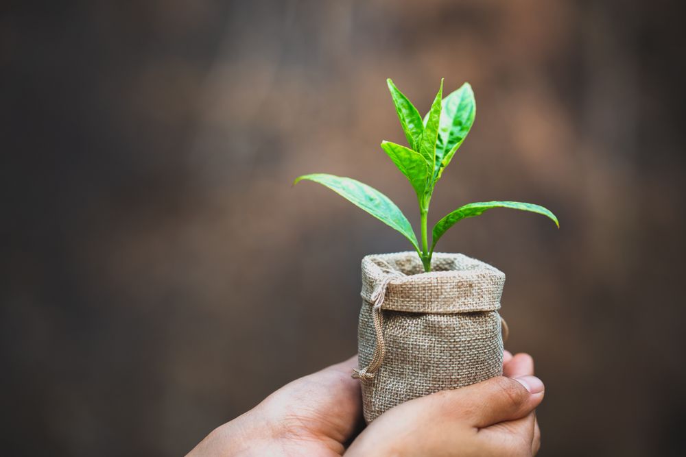 diy plant pots-gunny bag