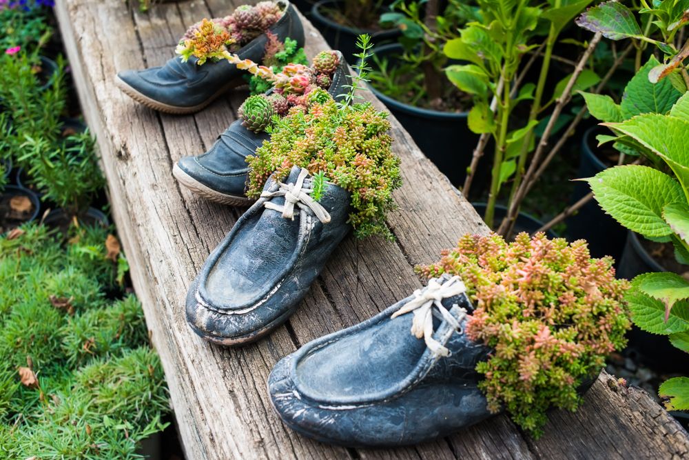 diy plant pots-shoe