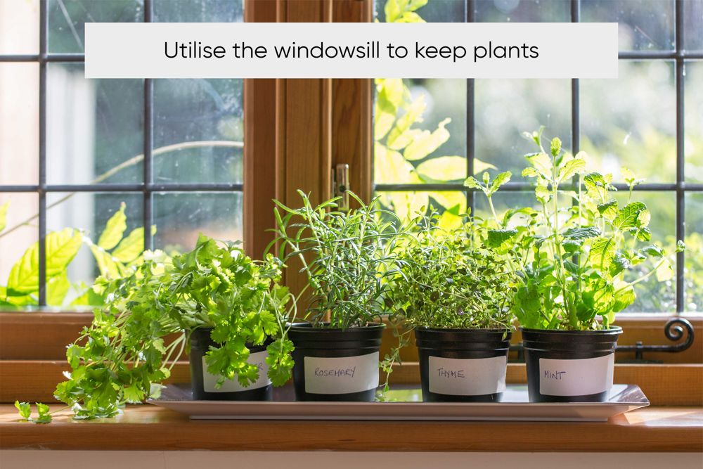 kitchen-organization-windowsill-plants-bottles