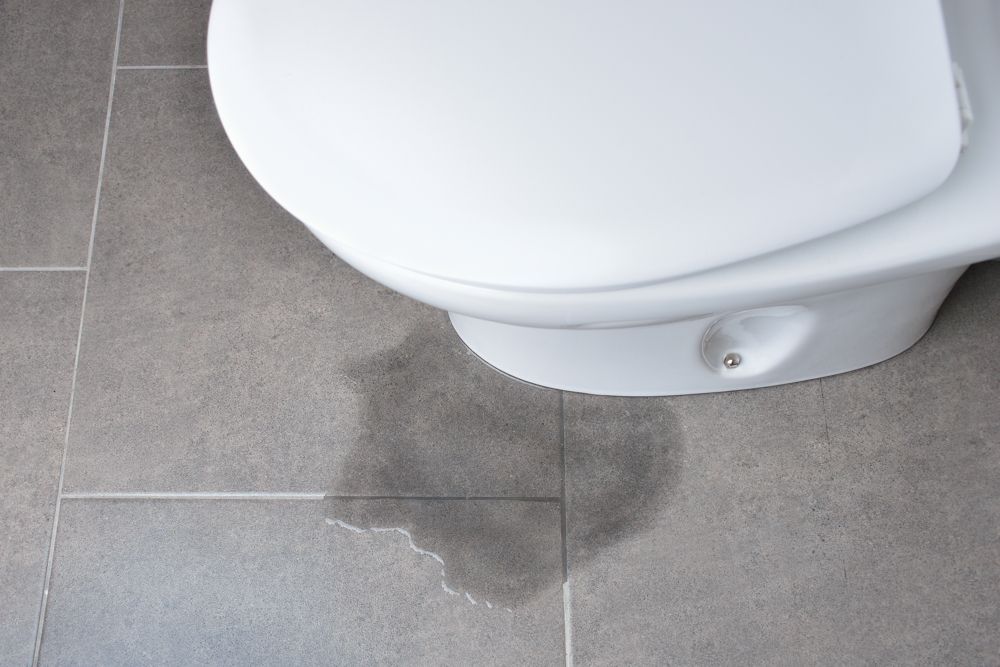 bathroom leak-housekeeping-mold-toilet