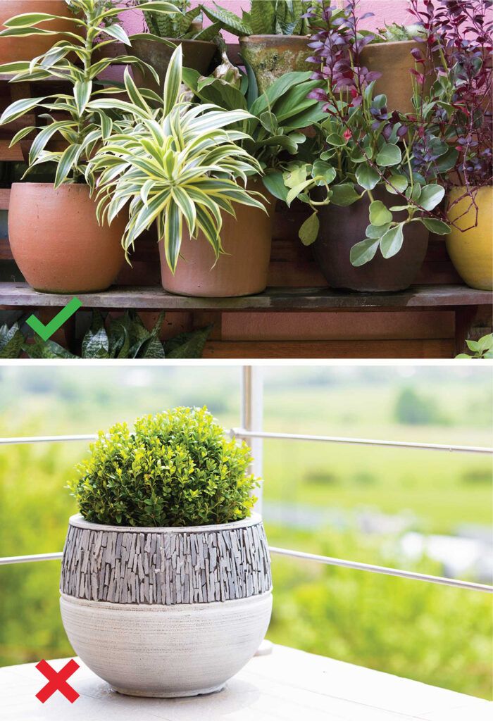 watering indoor plants-pots