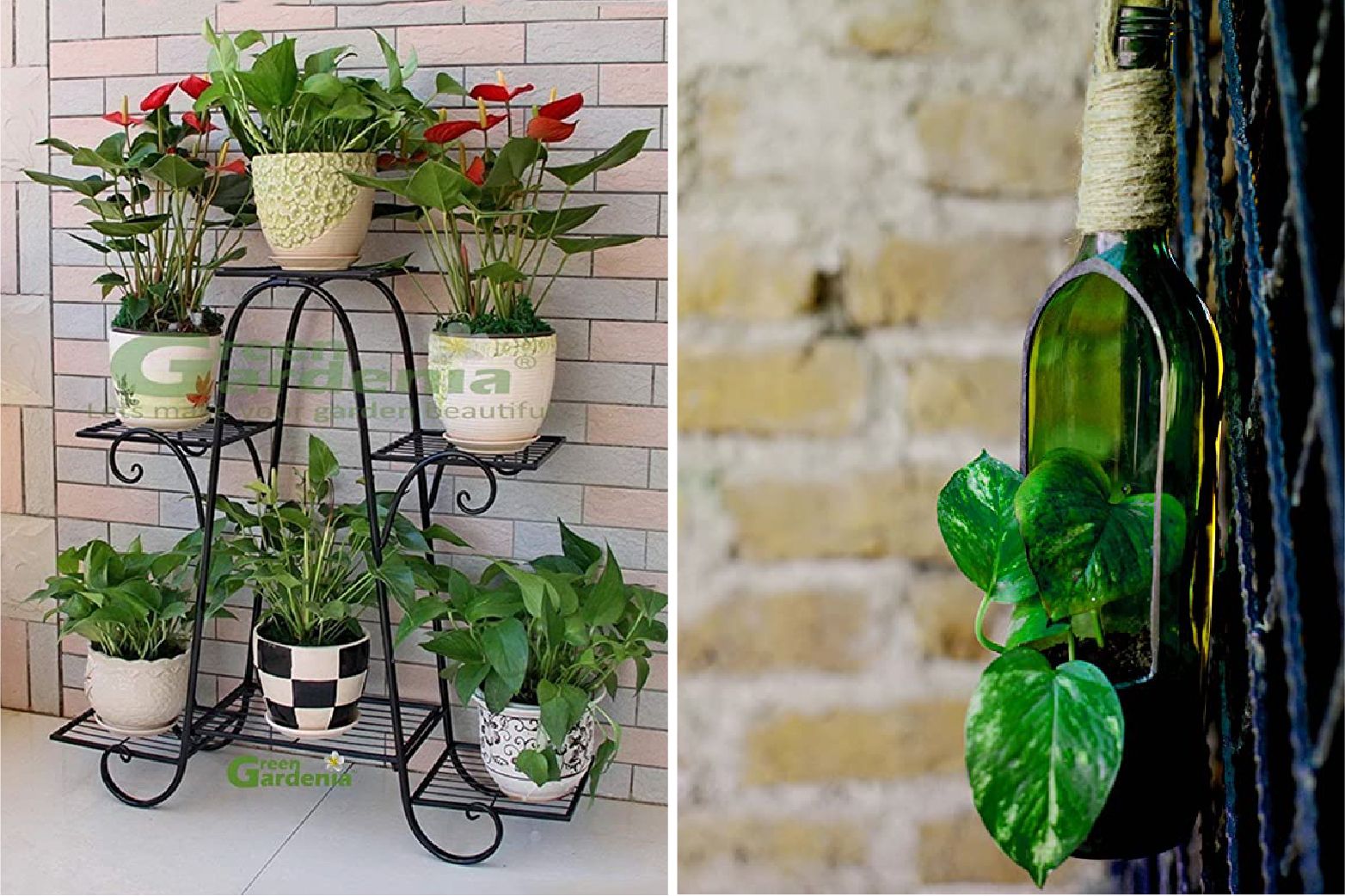 Plant Decoration Ideas for Homes | A Complete Guide to Plant Decor