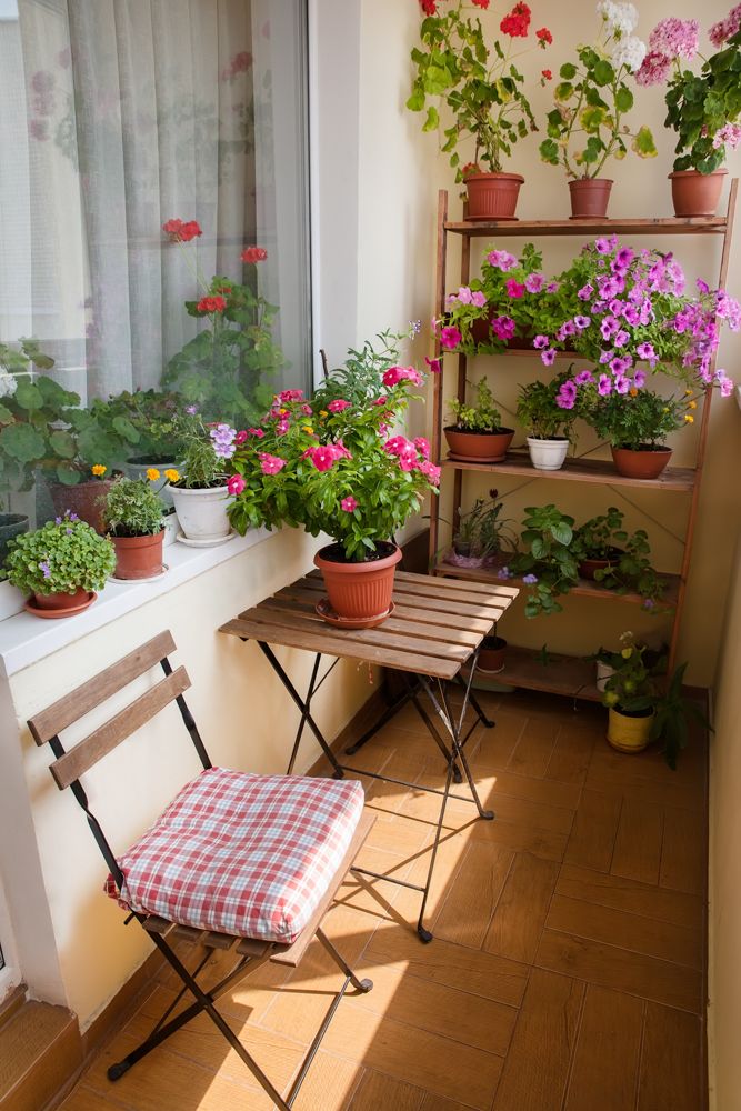 how to take care of plants in summer-