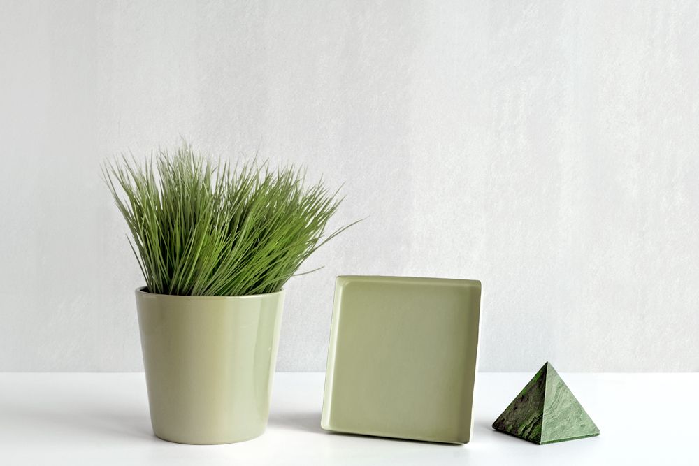 vastu shastra for house_pyramid_potted plant_desk accessories