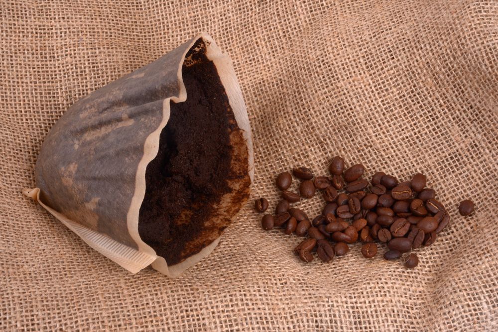 how-to-get-rid-of-mosquitoes-use-coffee-grounds