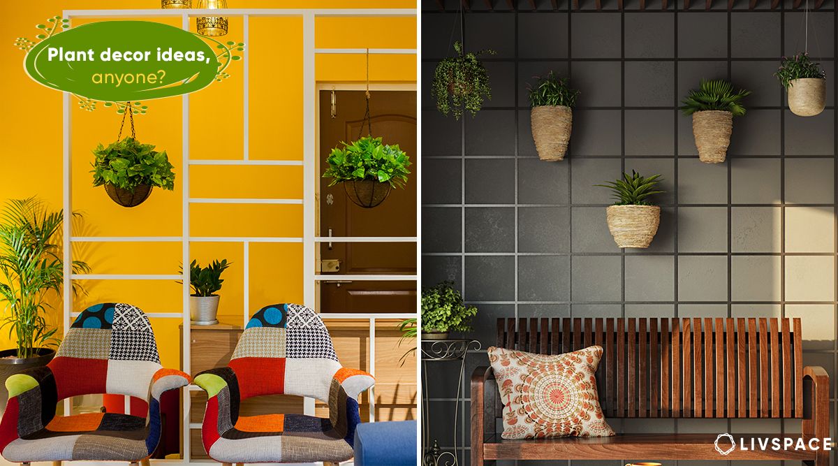 Your Exclusive Home Decor Guide to Decorating with Plants