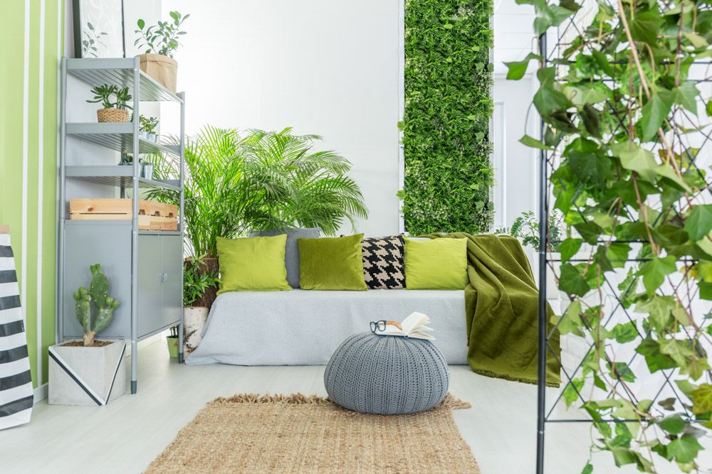 best-indoor-plants-for-oxygen