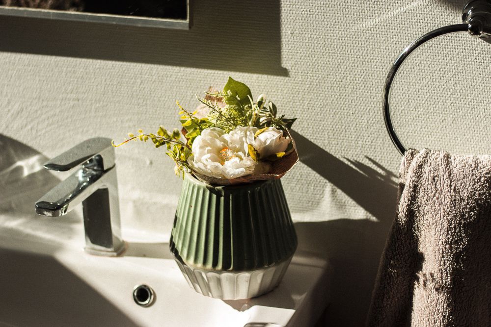 vastu-compliant-plants-in-bathroom