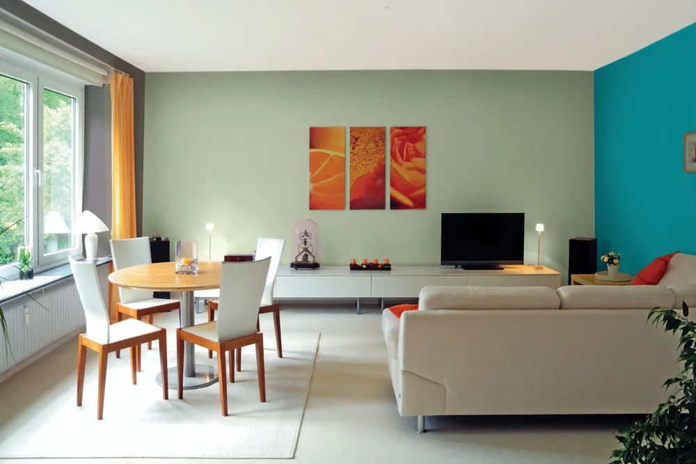 green-hall-wall-colour-combination-with-sofa-and-dining-area