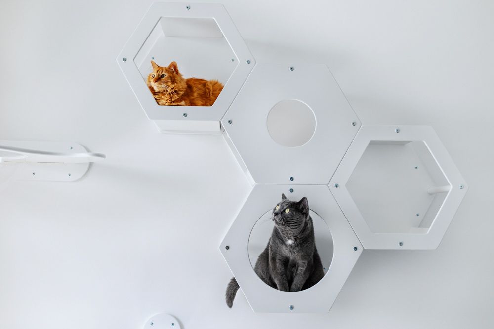 wall-mounted-pet-house-wall-decor-idea