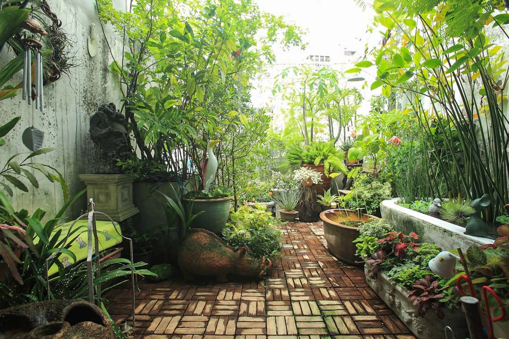 tall-plants-terrace-garden-idea