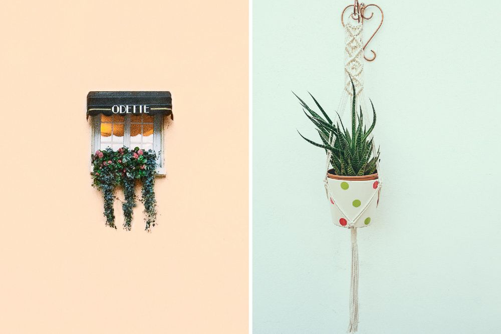 easy-wall-hanging-with-plants