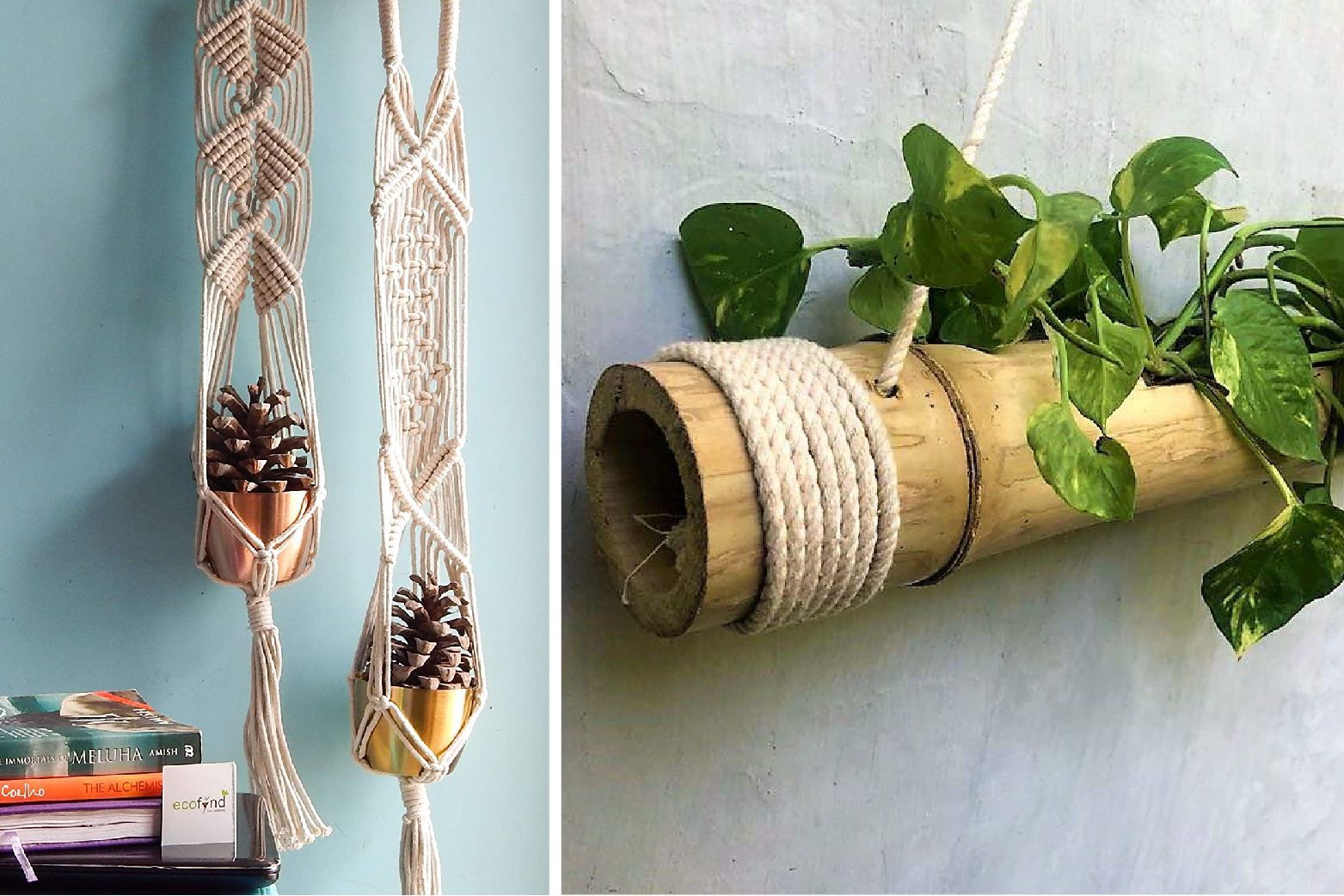 decorating-with-plants-bamboo-planter-macrame-hanger