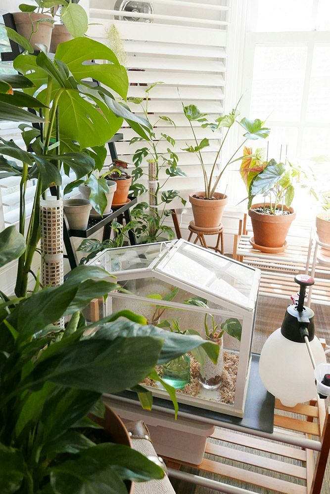 small-balcony-garden-ideas-greenhouse