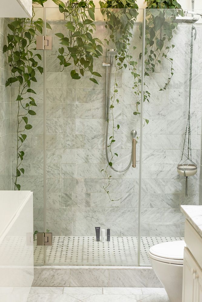 vining-plants-for-bathroom-decor