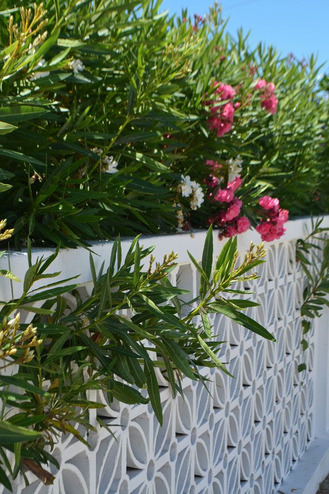 garden-landscaping-ideas-fence