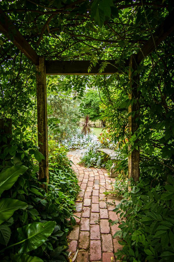 backyard-garden-design-ideas-canopy