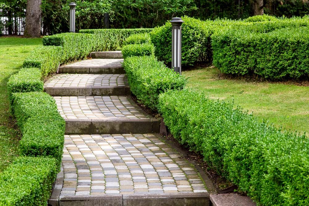 garden-landscaping-ideas-hedges