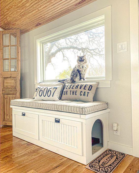 window-seat-for-pets
