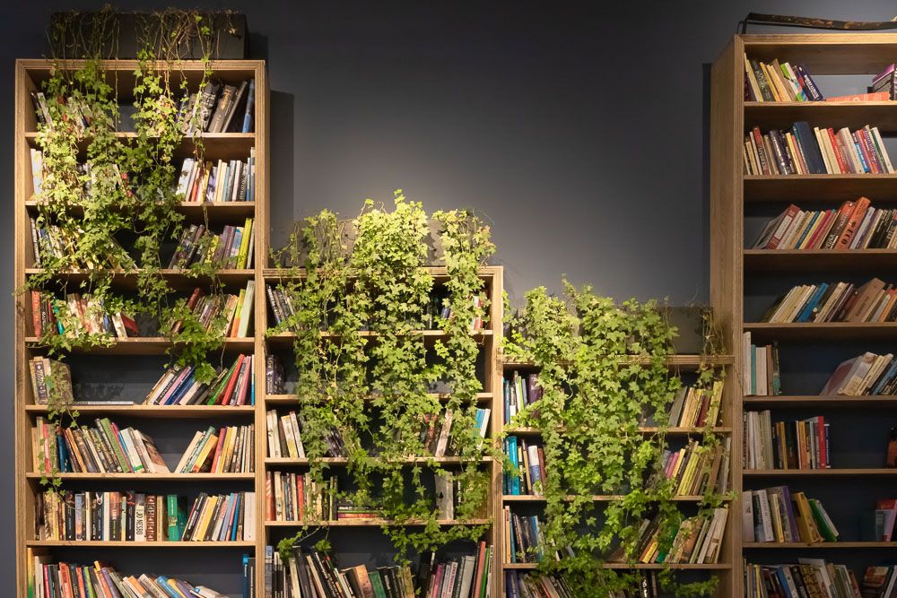 fix-cracks-in-walls-with-bookshelf-or-plants