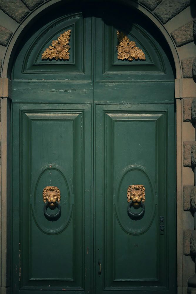 teak door with unique knocker