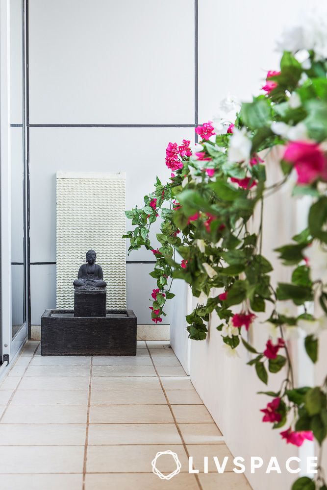 bougainvillea creepers with pink flowers in a white balcony