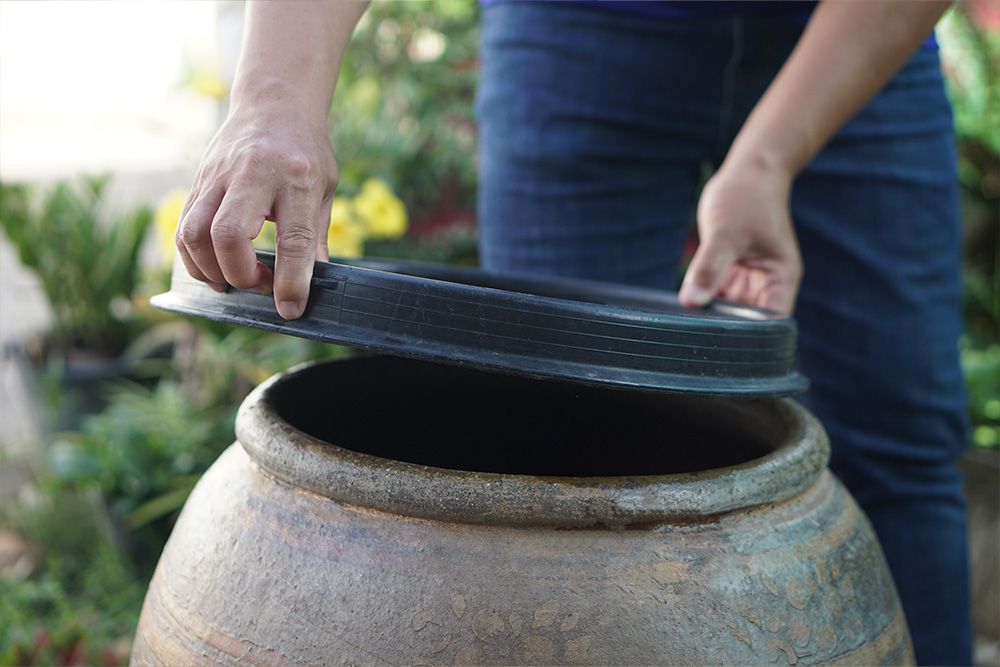 how to get rid of mosquitoes outside