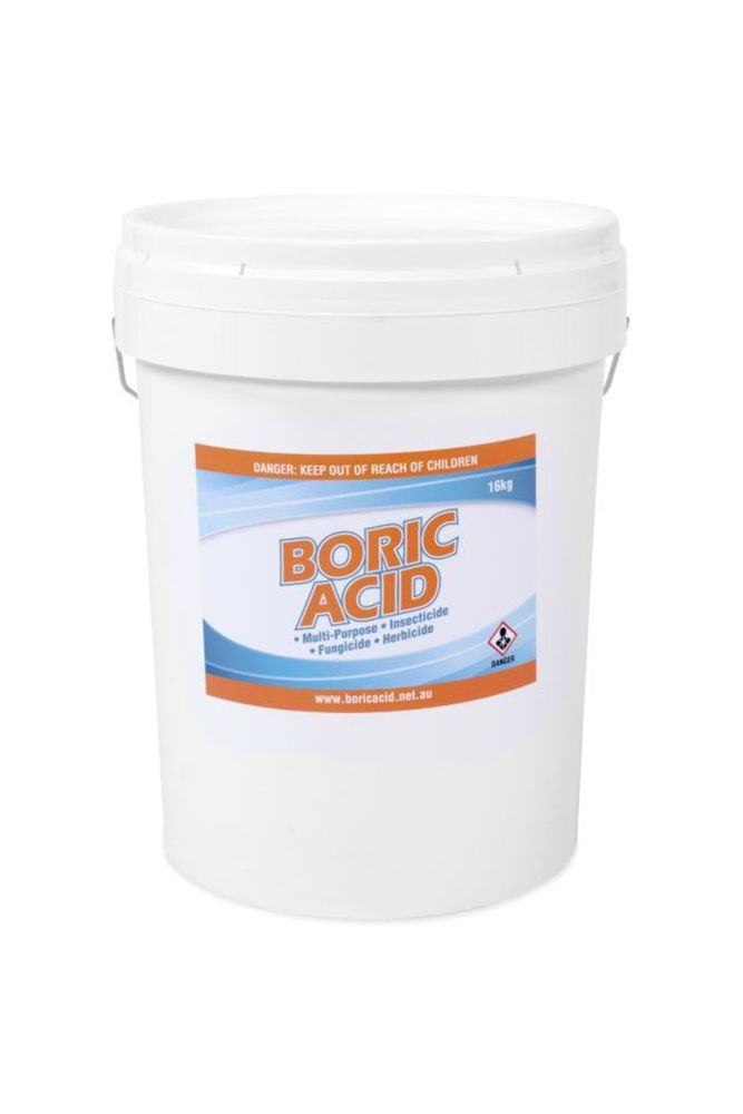 boric acid for cockroach infestation at home