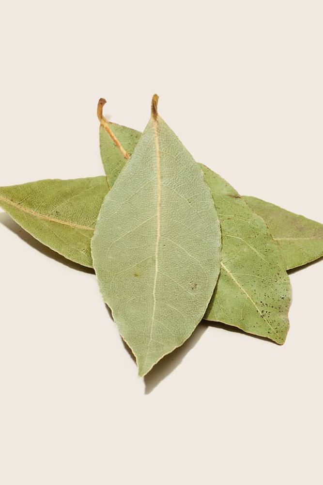 bay leaves as natural cockroach repellent