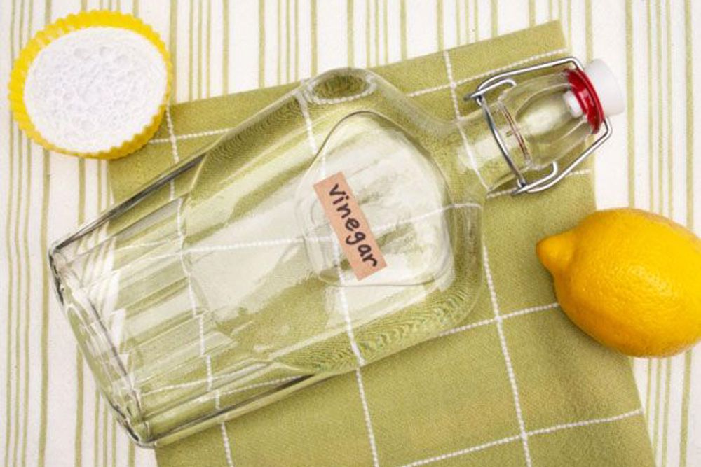 cockroach treatment at home with vinegar