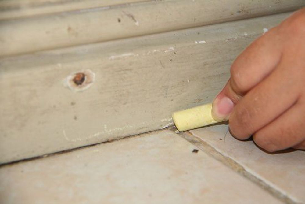 how to get rid of ants in house with chalk