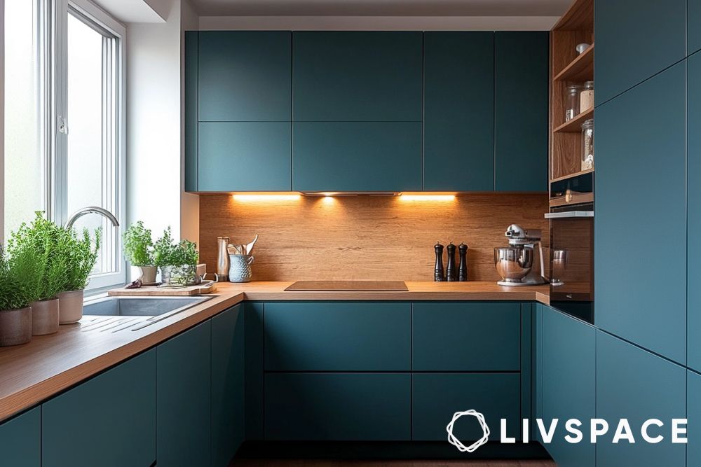 Modern minimalist open kitchens