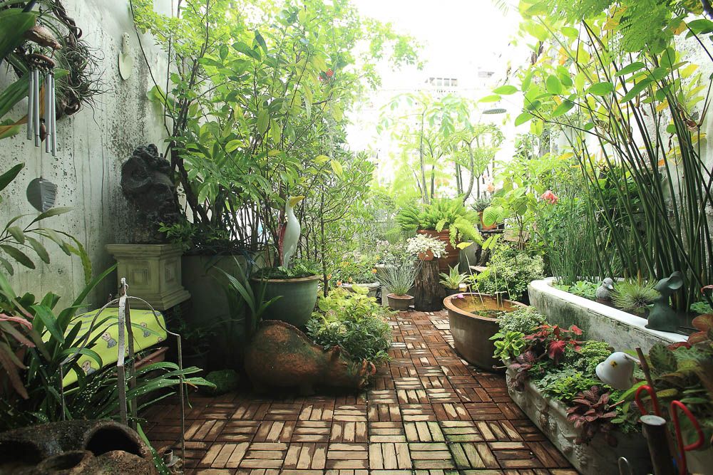 biophilic design for summer season