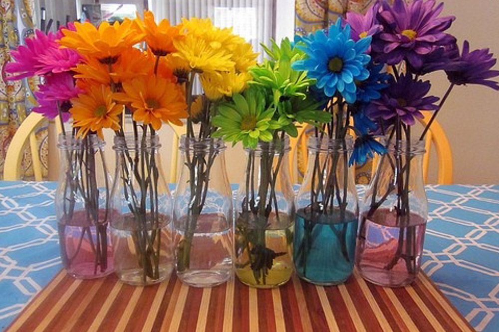 Home decor for holi with clear vases with coloured water