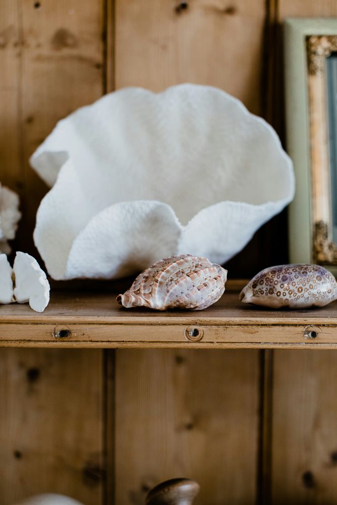 seashells on a shelf travel room decor