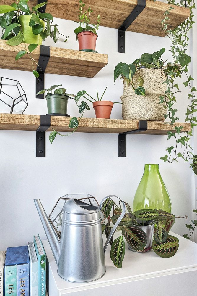 floating shelves placement ideas for plants