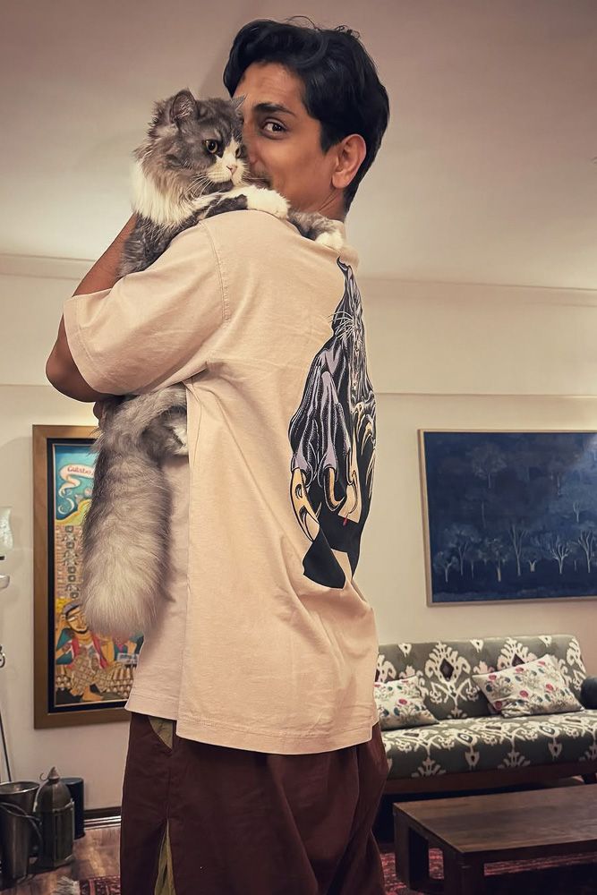 celebrity homes design ideas siddharth