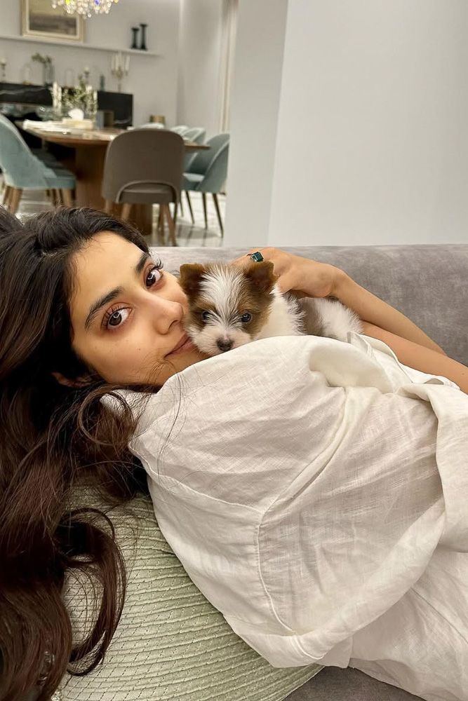 celebrity homes design ideas janhvi kapoor