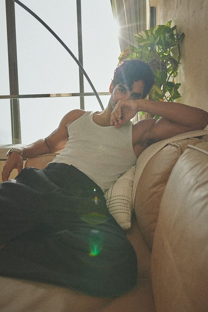 celebrity homes design ideas ishaan khatter