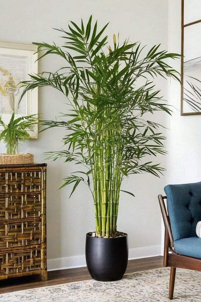 bamboo palm as pet friendly plant