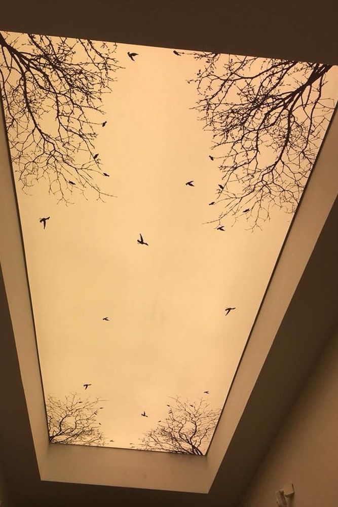 art on false ceiling design