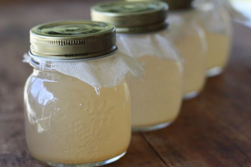 vinegar uses for termite infestation