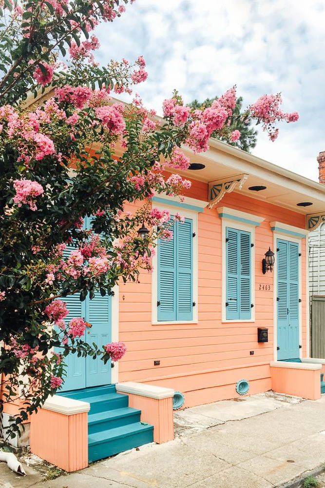 outer colour of house in pink sherbet and pastel blue