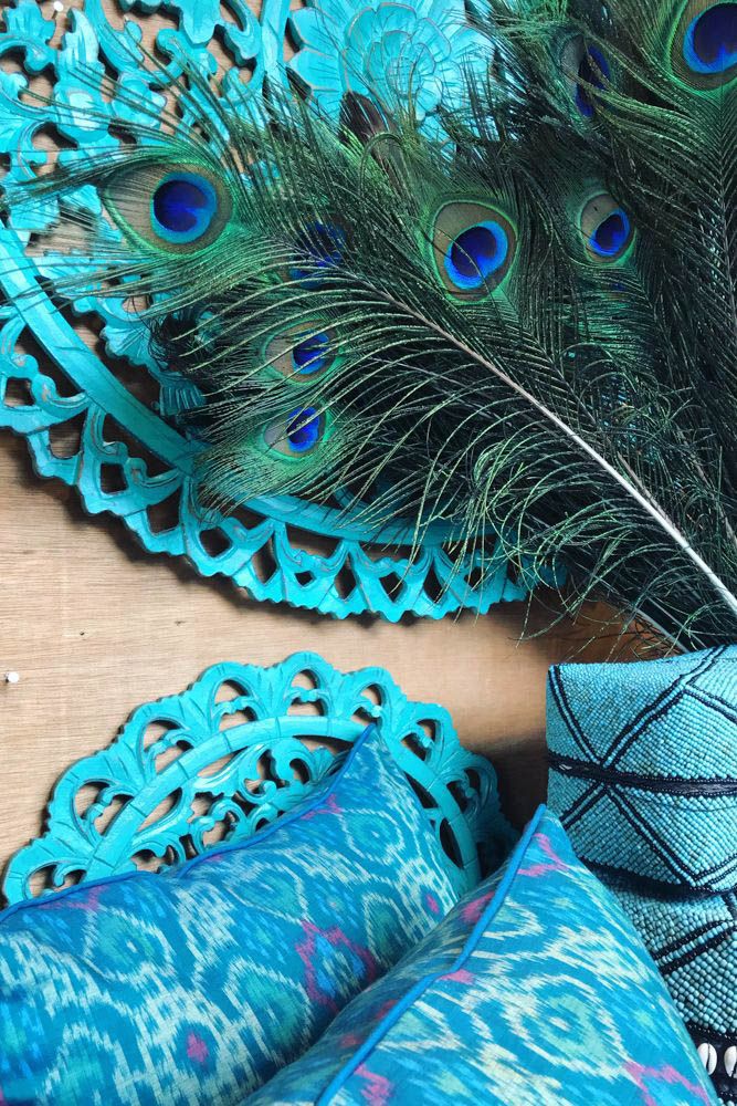 peacock feathers to get rid of lizards