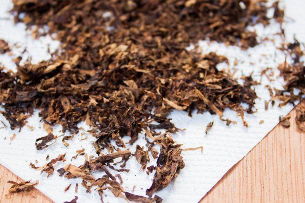 tobacco keeps lizards away