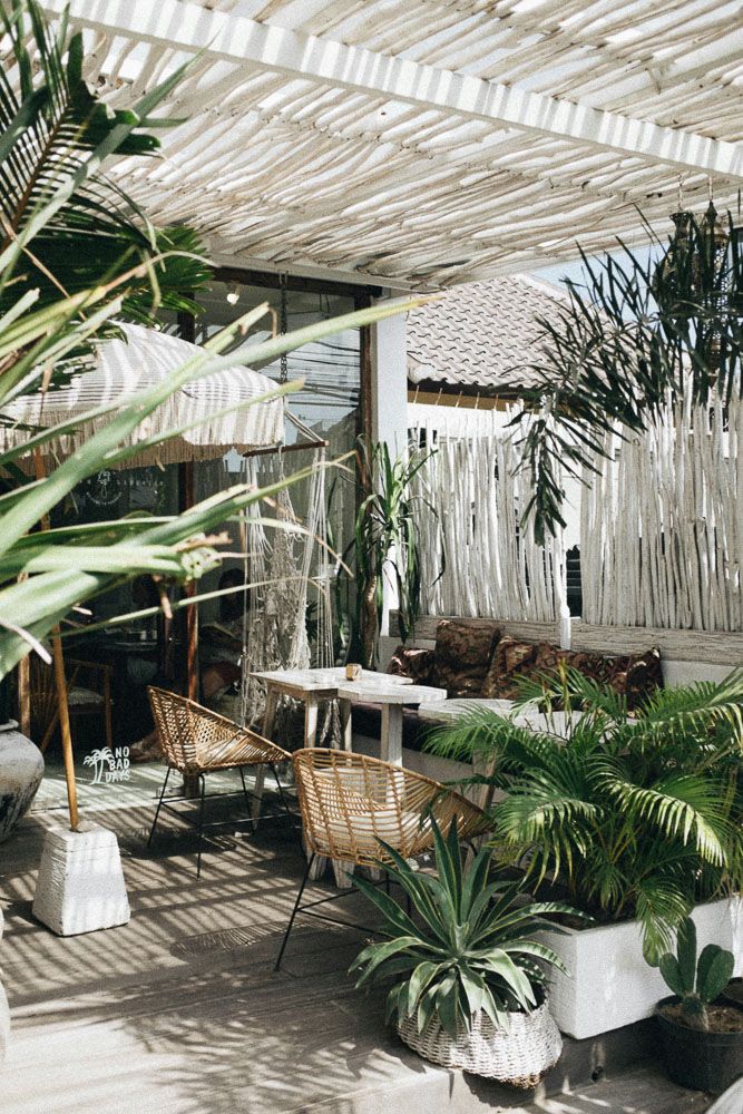 biophilic architecture