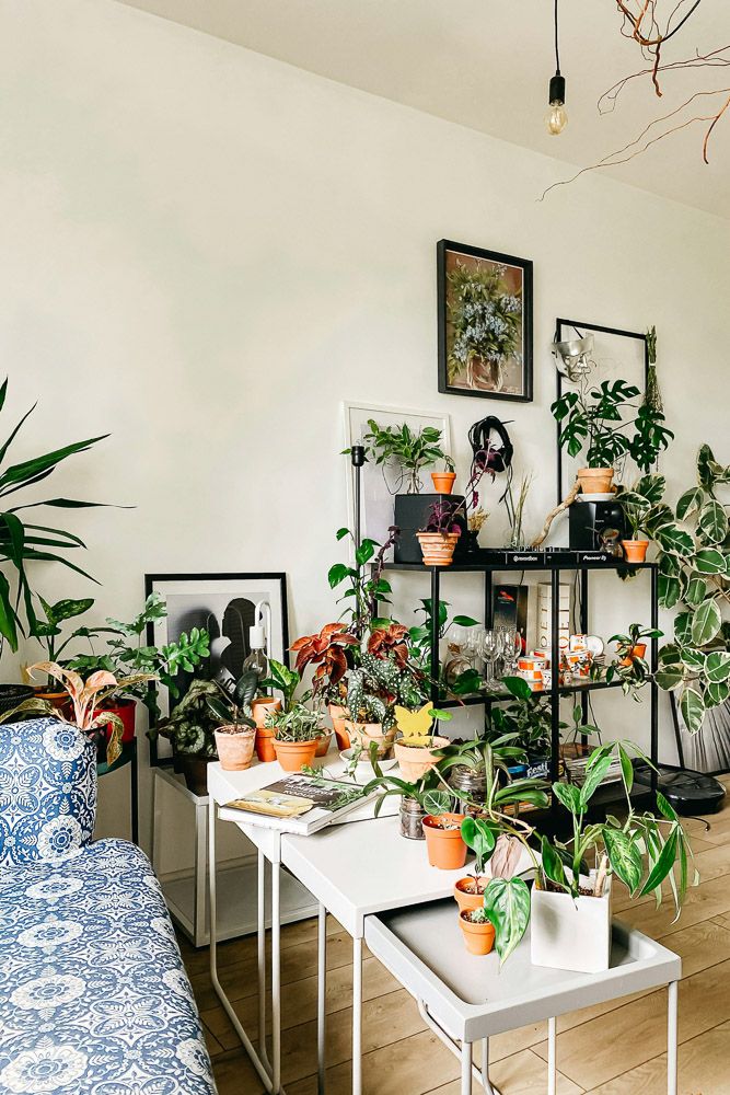 Biophilic design goes architectural