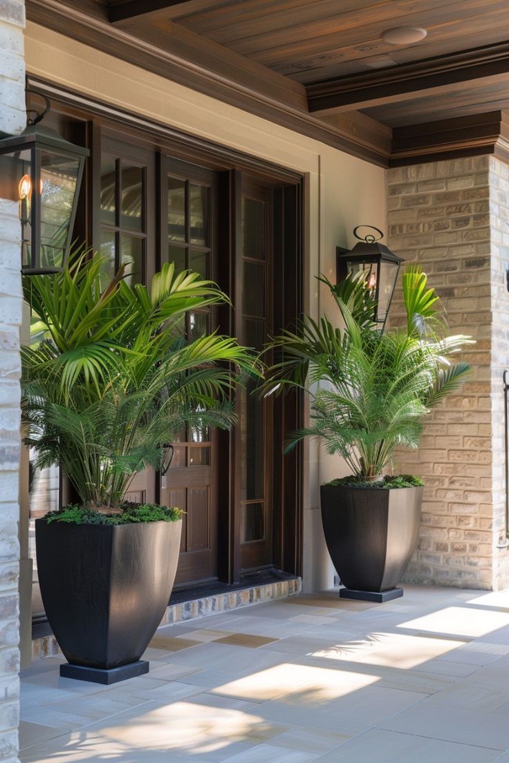 entryway plants for south facing home