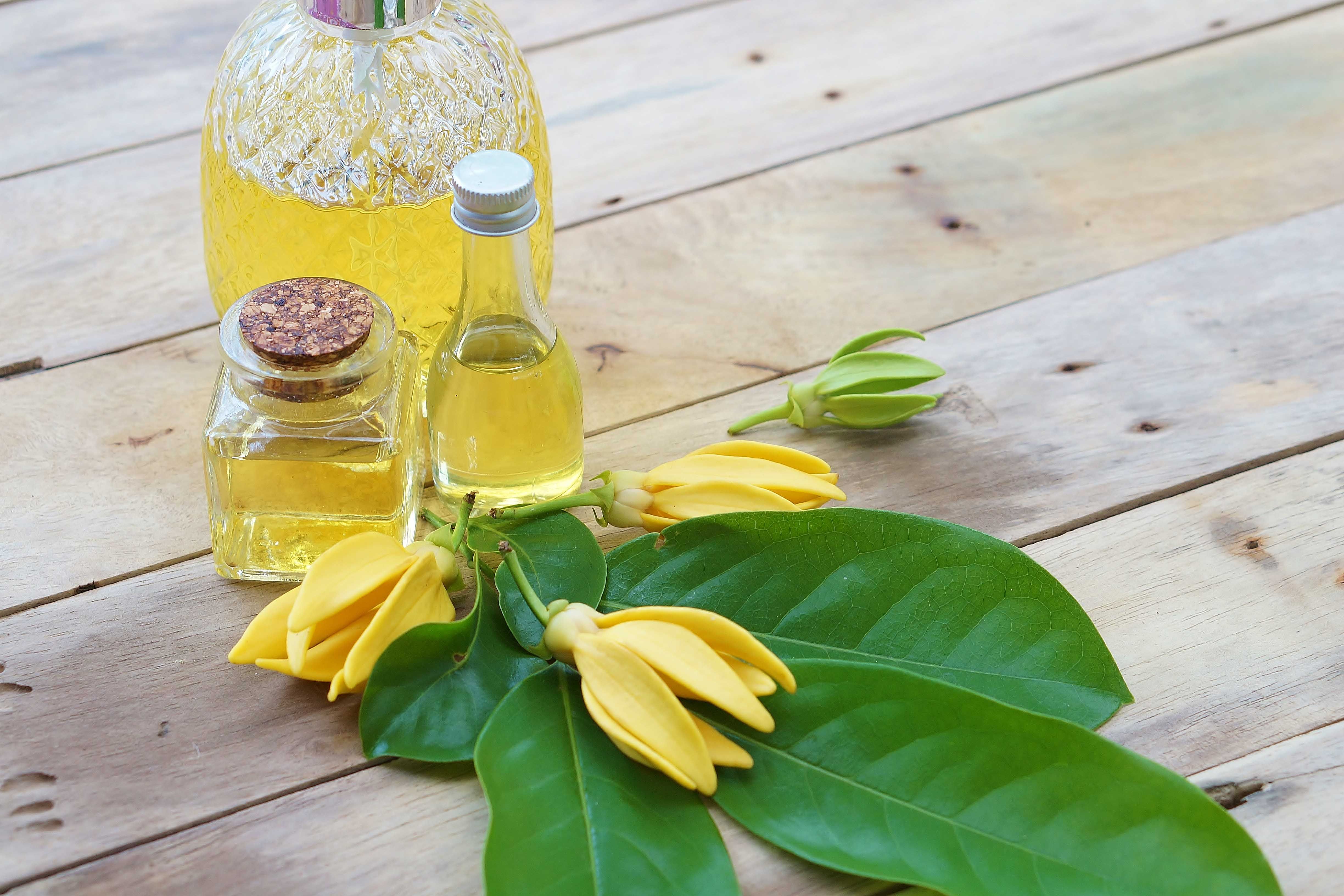 ylang ylang essential oil-yellow