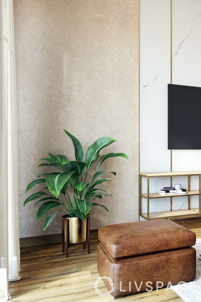 room decoration-accessories-brown sofa-purple chairs-plants-tv unit designs